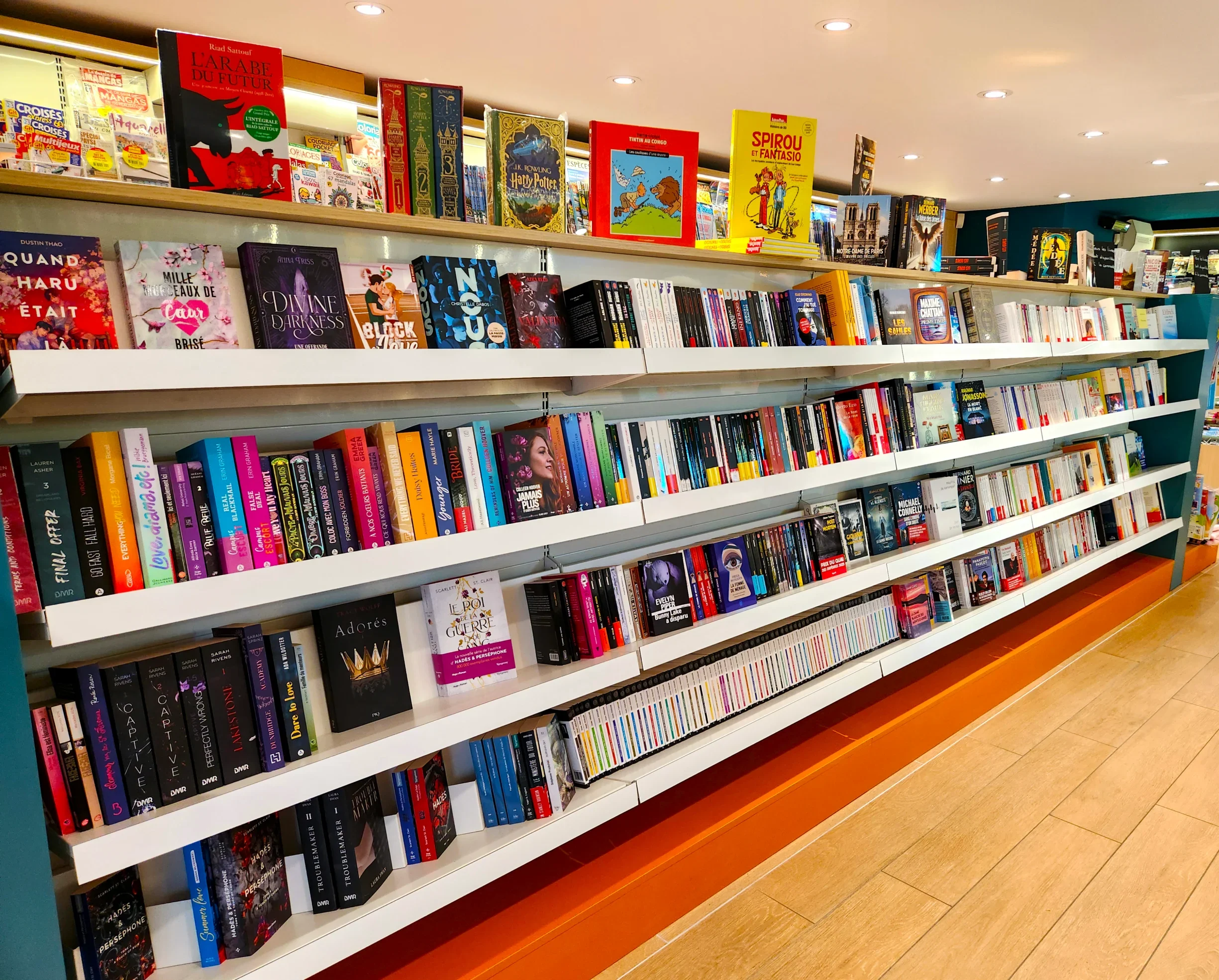 Rayon livres